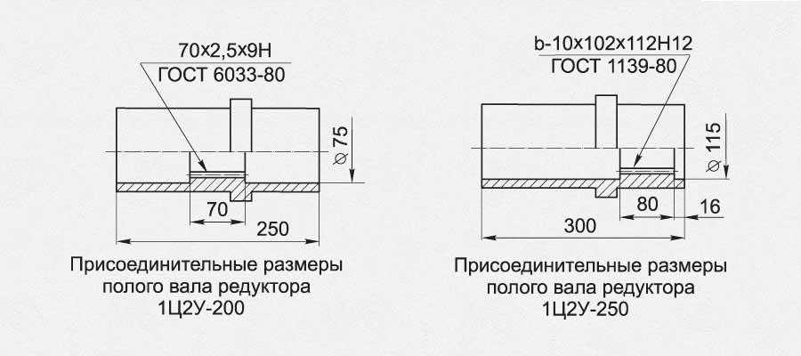 ПРИСОЕДИНИТЕЛЬНЫЕ РАЗМЕРЫ ТИХОХОДНОГО ПОЛОГО ВАЛА, мм</p>
<p>